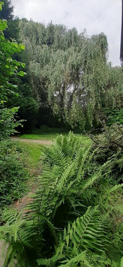 Fewo Im Naturschutzgebiet Hiddenhausen Экстерьер фото